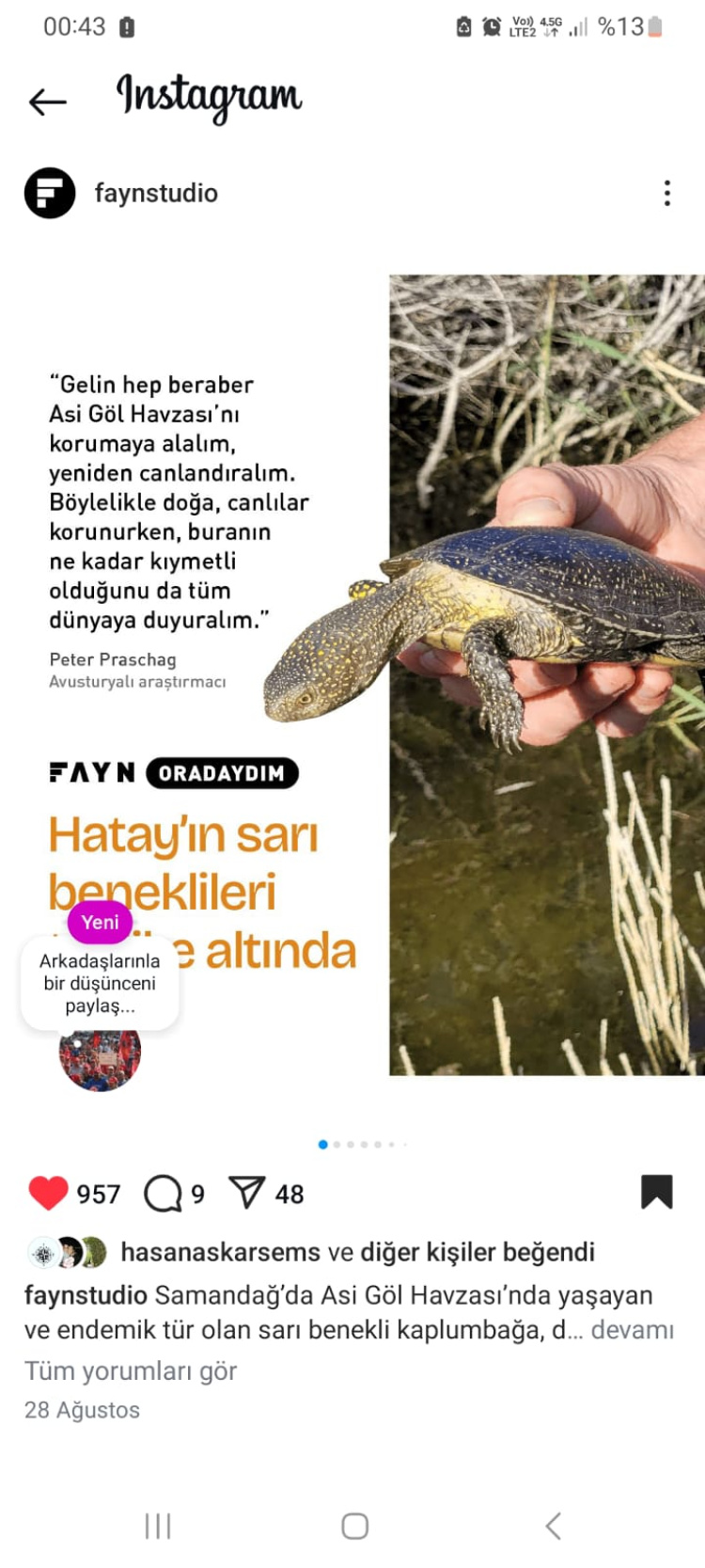YÜZ KIZARTICI ORGANİZE EKO- SUÇ ÖRGÜTLERİ