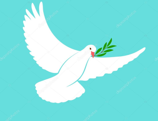 BAYRAK İNDİRME HAKLI VE MEŞRU MÜCEDELE HATTI DIŞINDADIR, SAPMADIR.